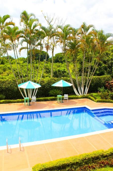 Casa Finca Familiar - La Tebaida