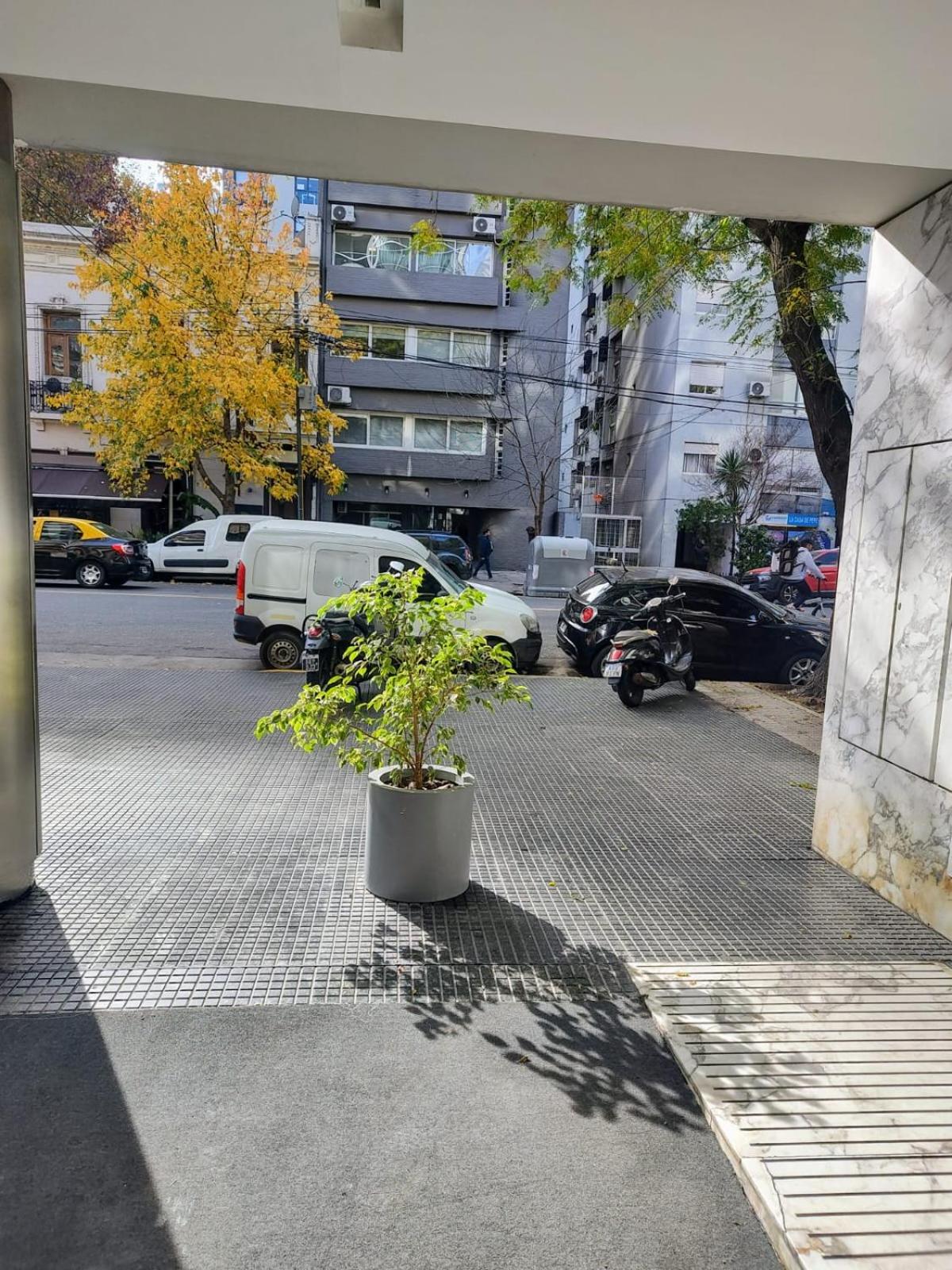 Vivi Palermo en Cerviño y Sinclair