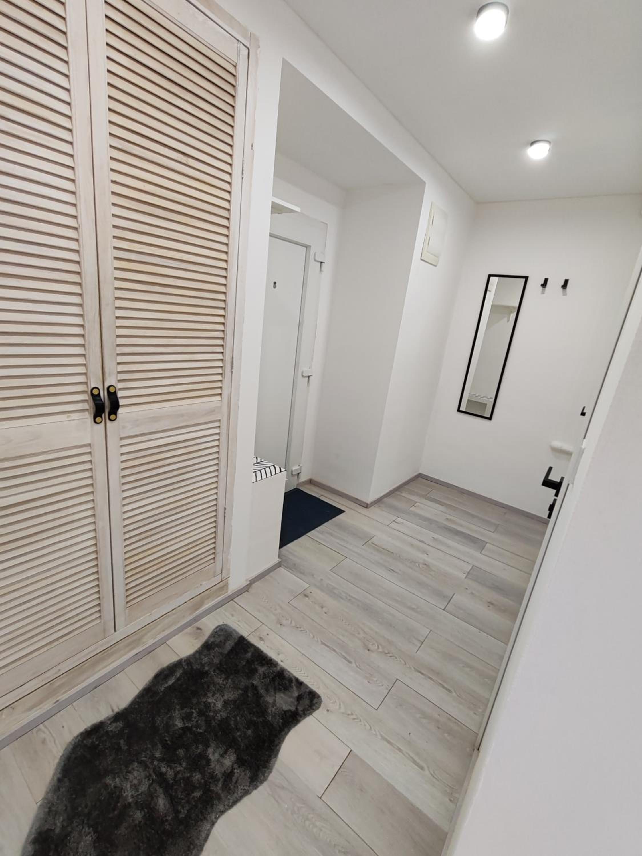 Apartman Březinova