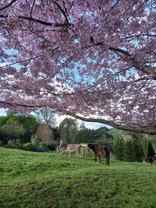 Rural life