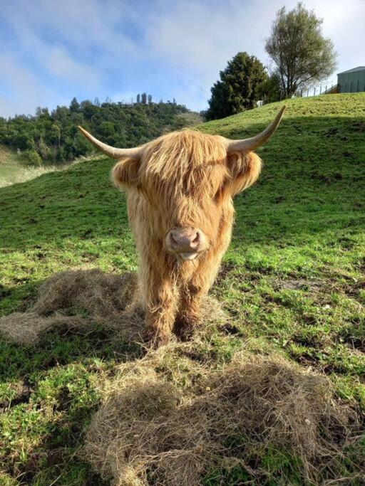 Rural life