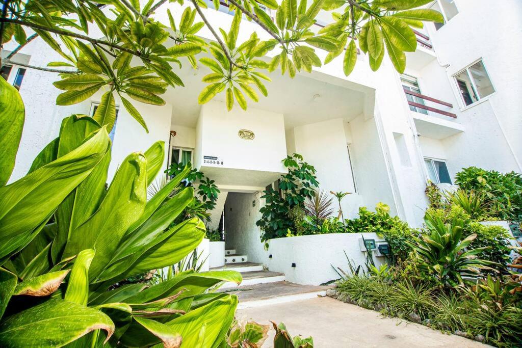 Caribbean sea front 2 BR 2 BA - Ground Floor- Large Pool -Seaweed-Free Beach view 3