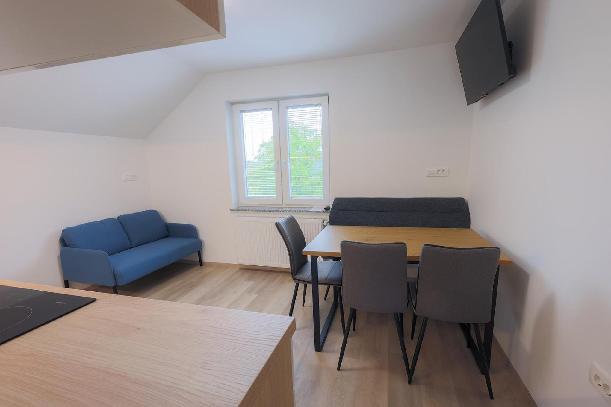 Apartment Erika
