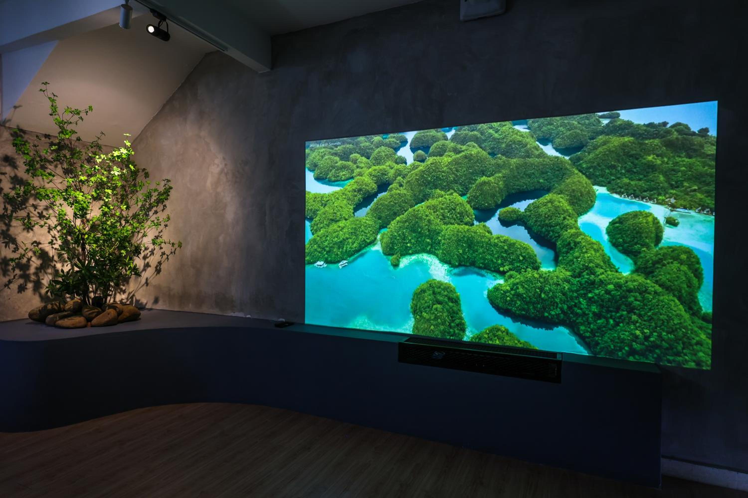 35 Cozy Homestay with projector Pool BBQ evcharger photo 5