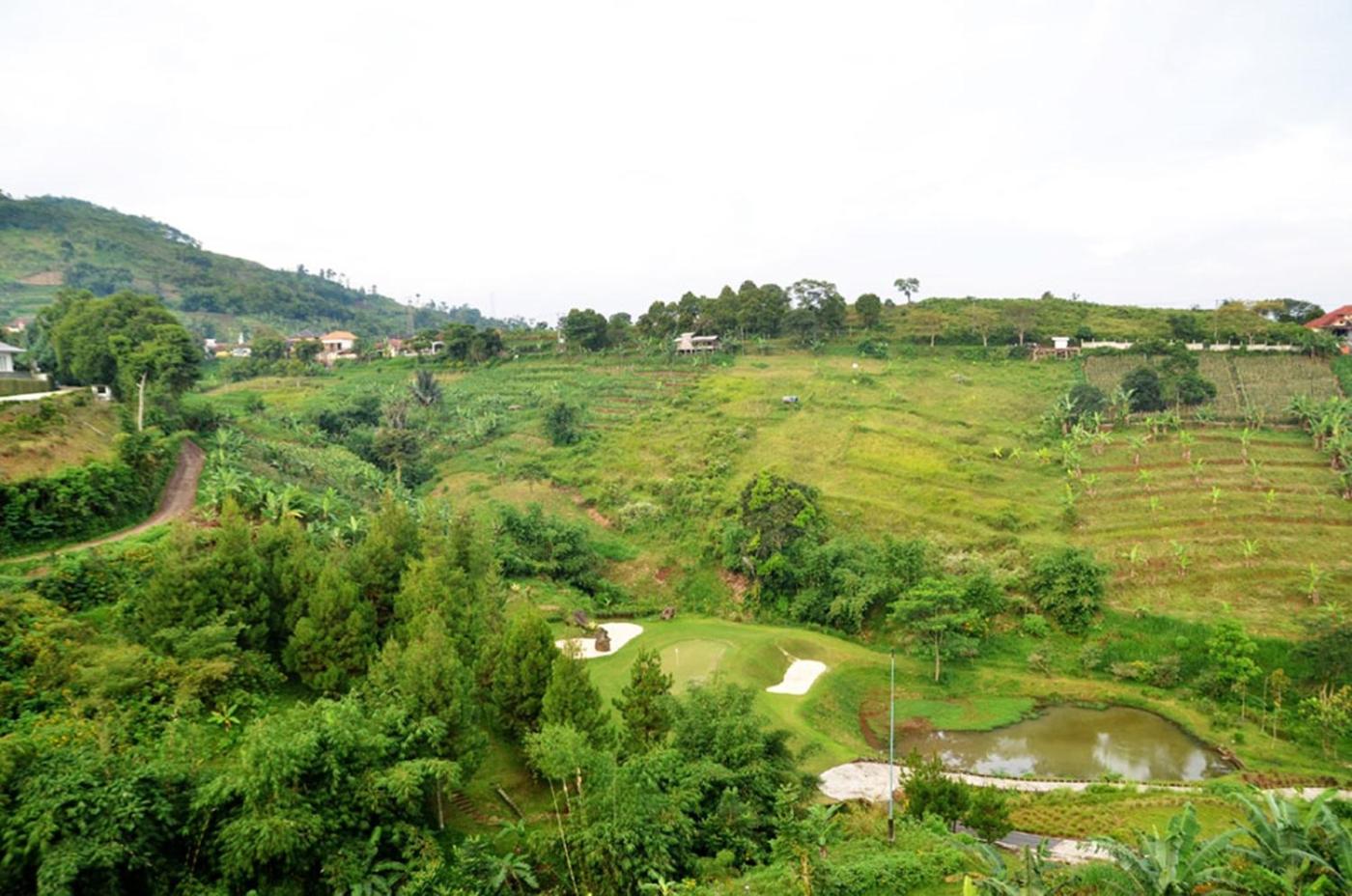 Green Forest Plantation View Villa 6 Bedrooms With a Private Heated Infinity Pool