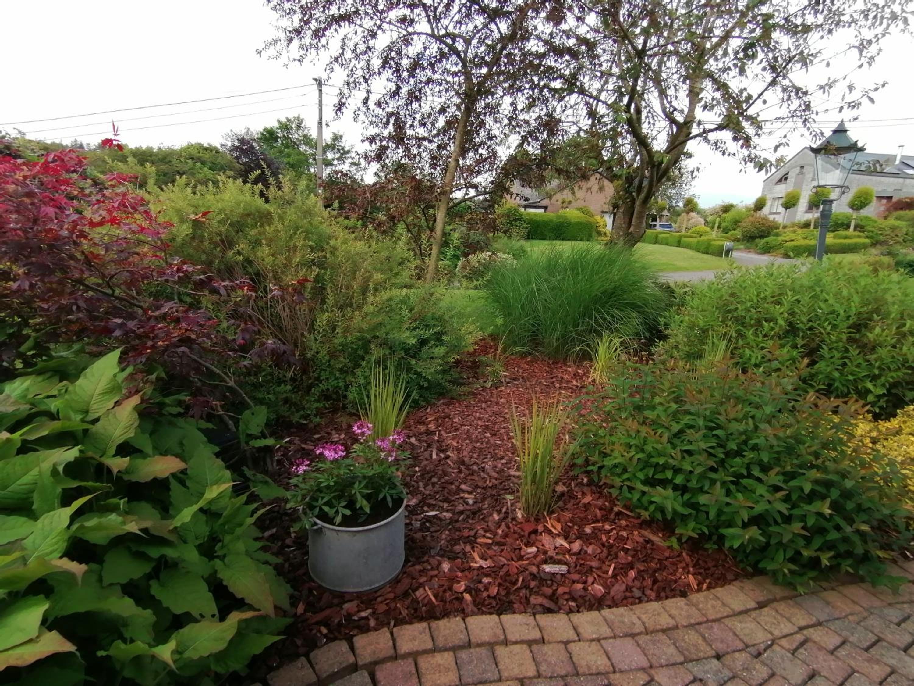 Photo 8