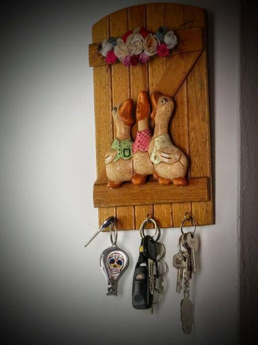 Magic House In The Magic Woodland - Envigado Medellin