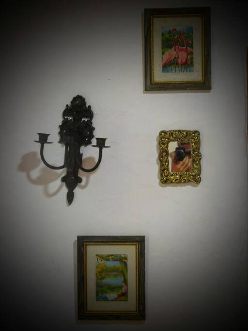 Magic House In The Magic Woodland - Envigado Medellin