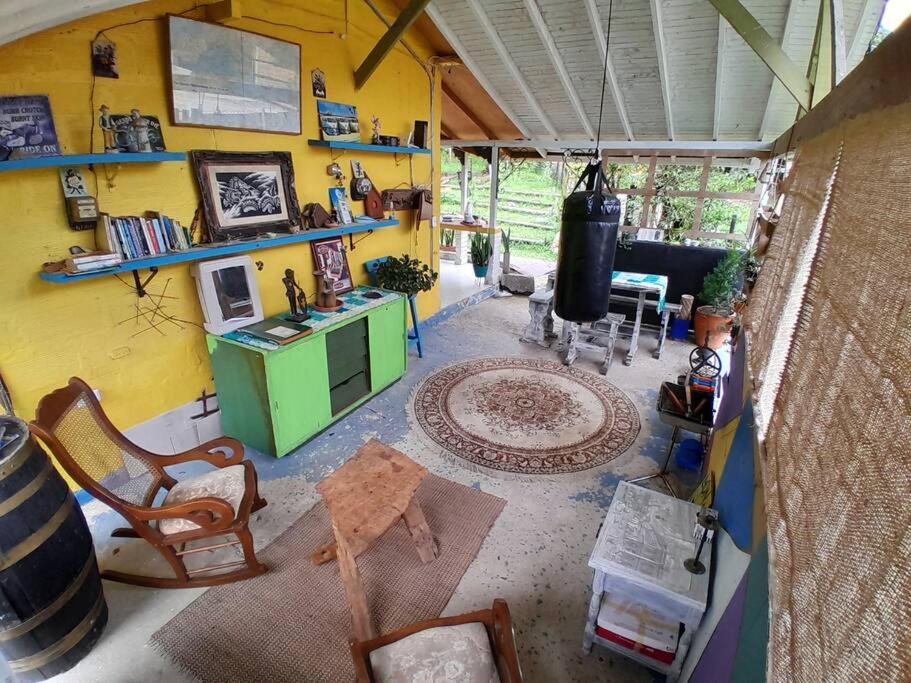 Magic House In The Magic Woodland - Envigado Medellin