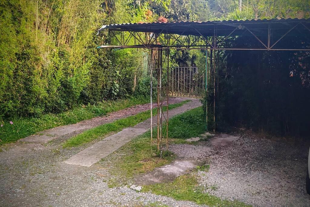 Magic House In The Magic Woodland - Envigado Medellin