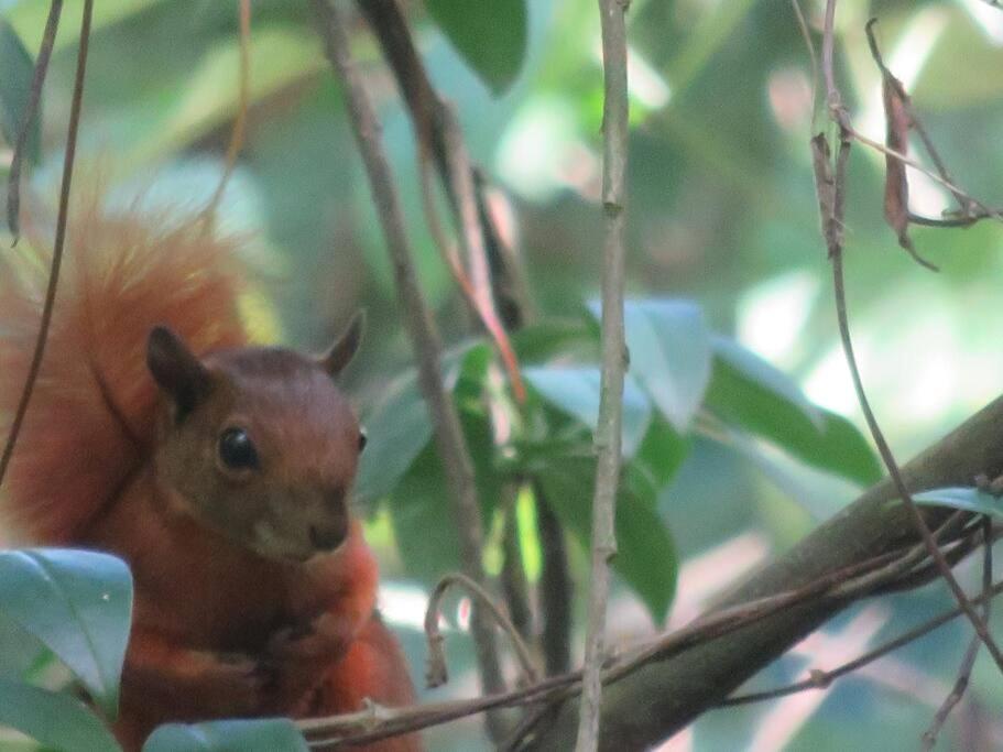 Magic House In The Magic Woodland - Envigado Medellin