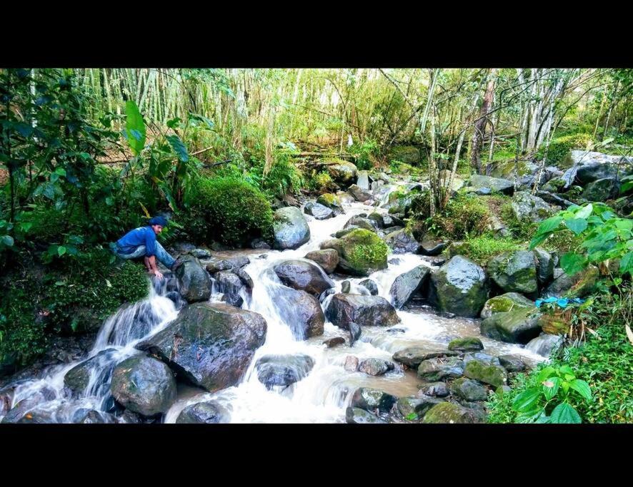 Magic House In The Magic Woodland - Envigado Medellin