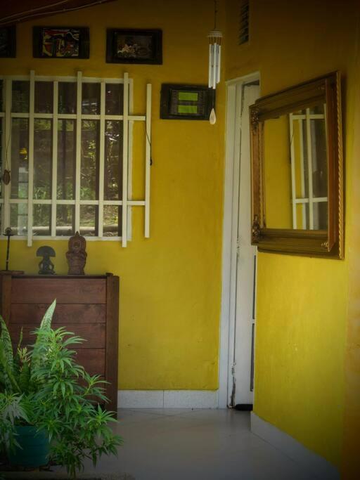 Magic House In The Magic Woodland - Envigado Medellin