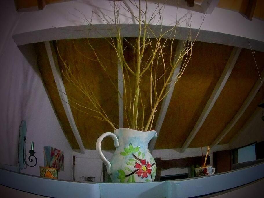 Magic House In The Magic Woodland - Envigado Medellin