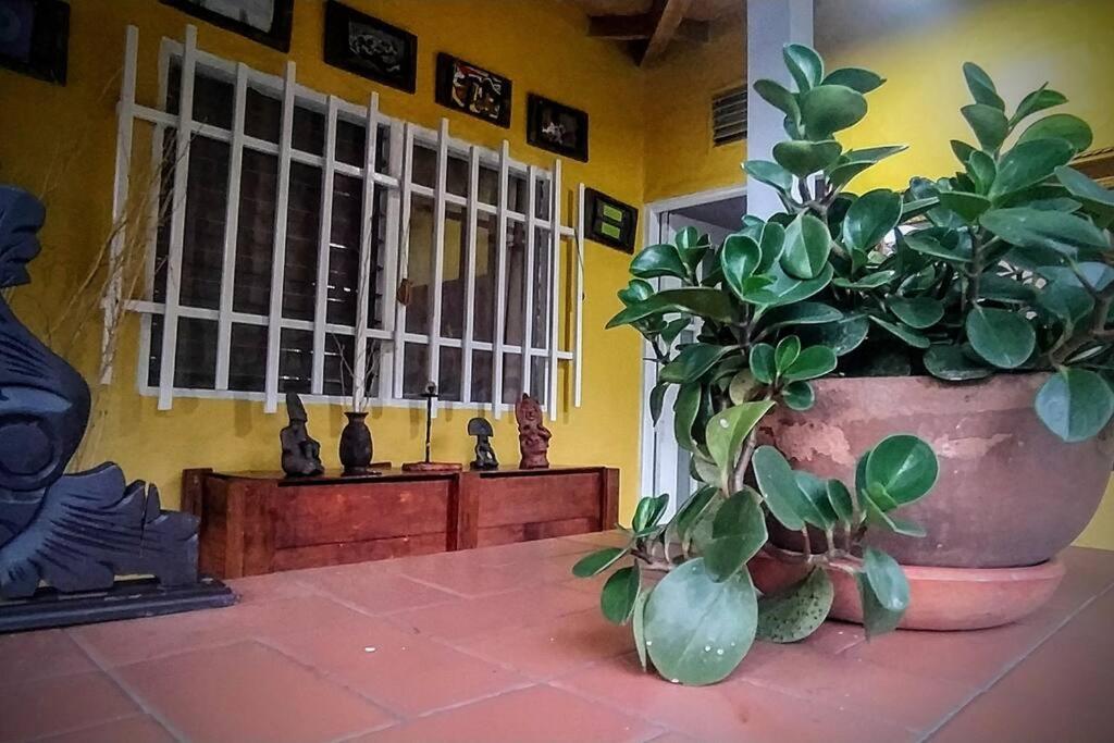 Magic House In The Magic Woodland - Envigado Medellin
