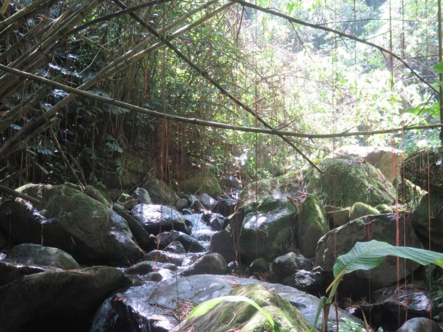 Magic House In The Magic Woodland - Envigado Medellin