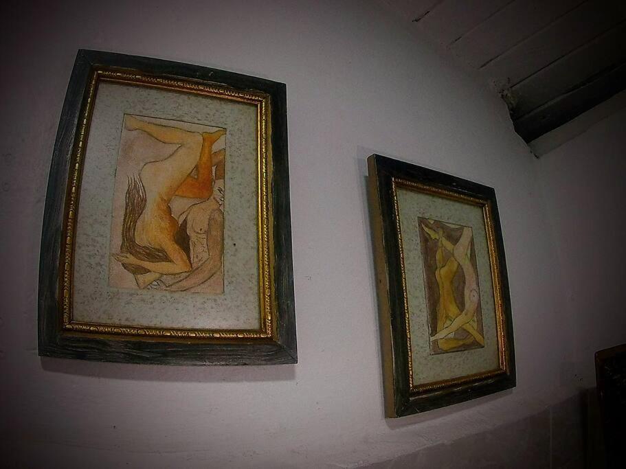Magic House In The Magic Woodland - Envigado Medellin