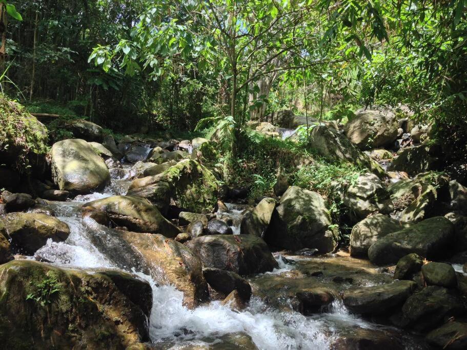 Magic House In The Magic Woodland - Envigado Medellin