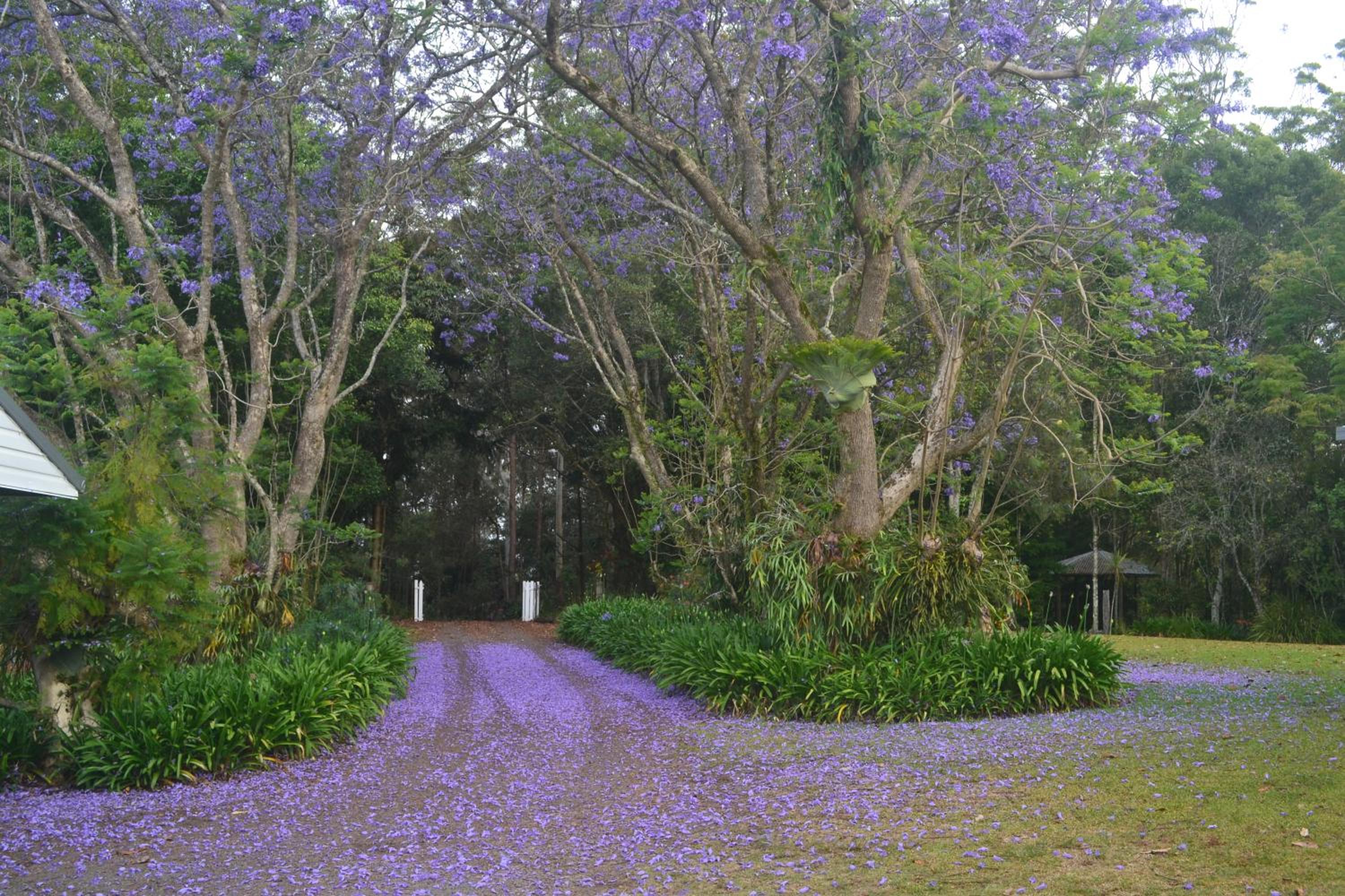 Parker Cottage