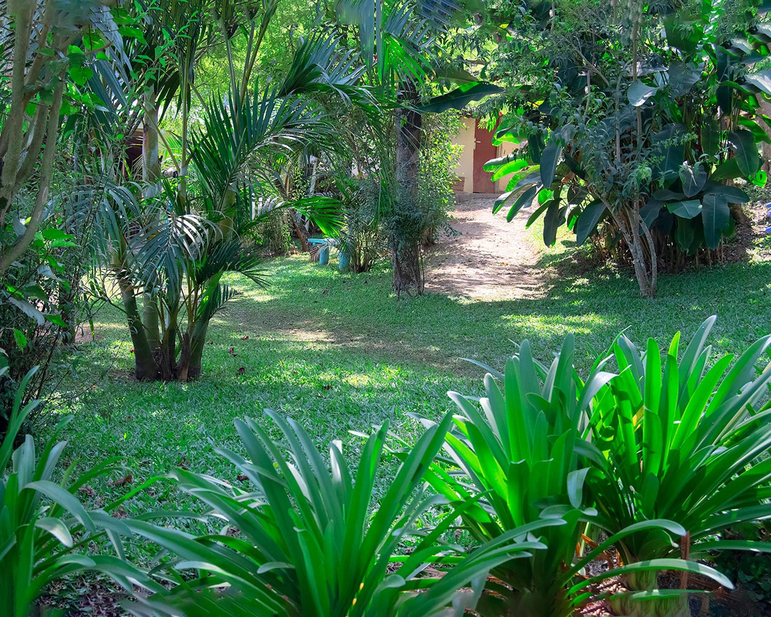 Kalebas Campsite