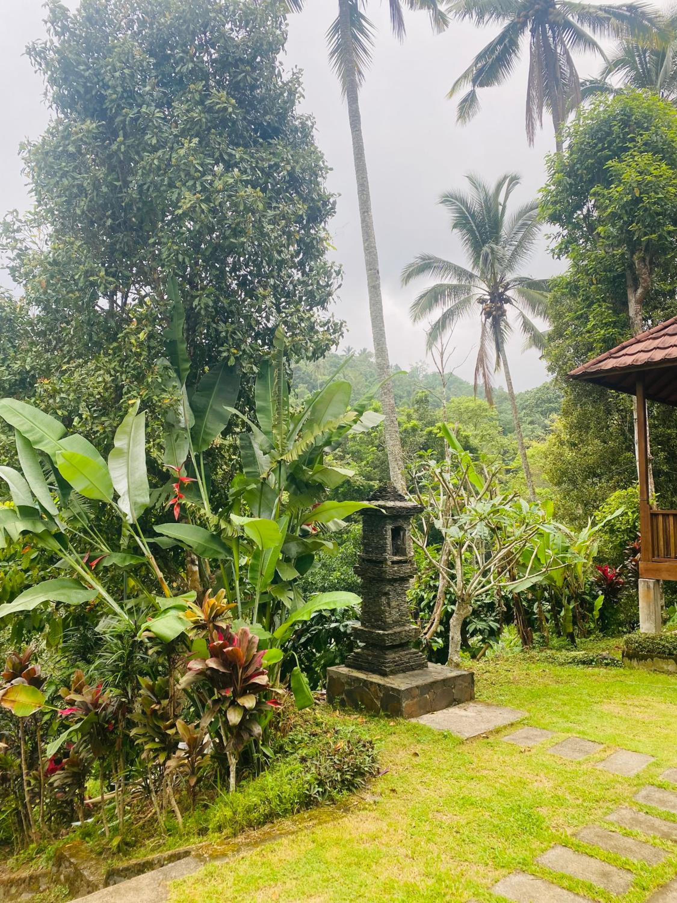 Uma d'Nyuh Homestay view 5