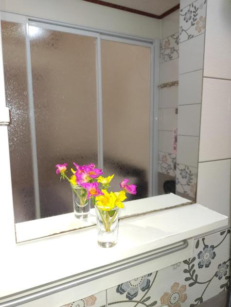 Photo 48