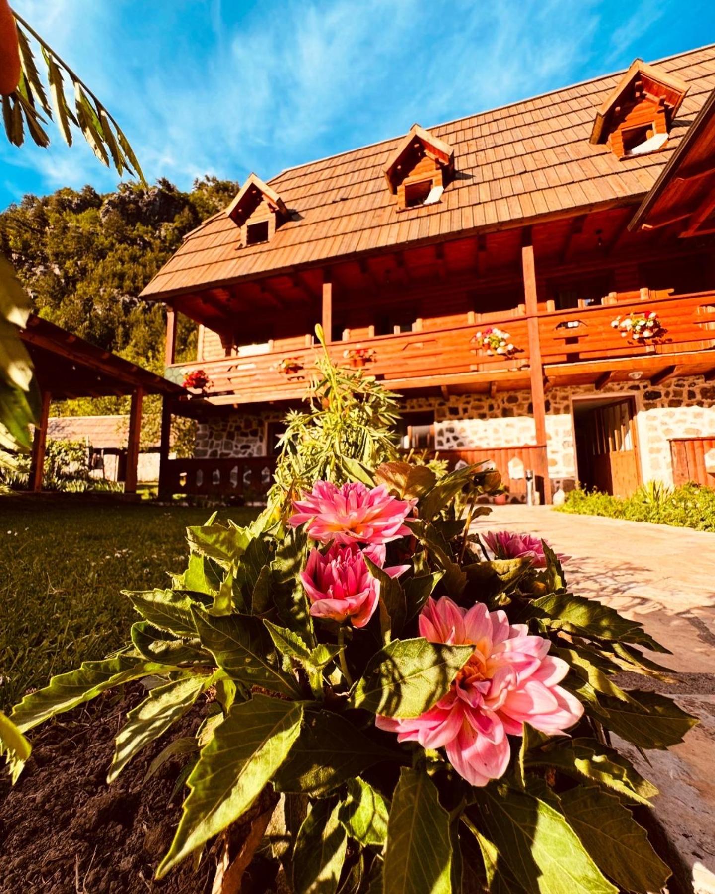 Guesthouse Prrockaj Theth