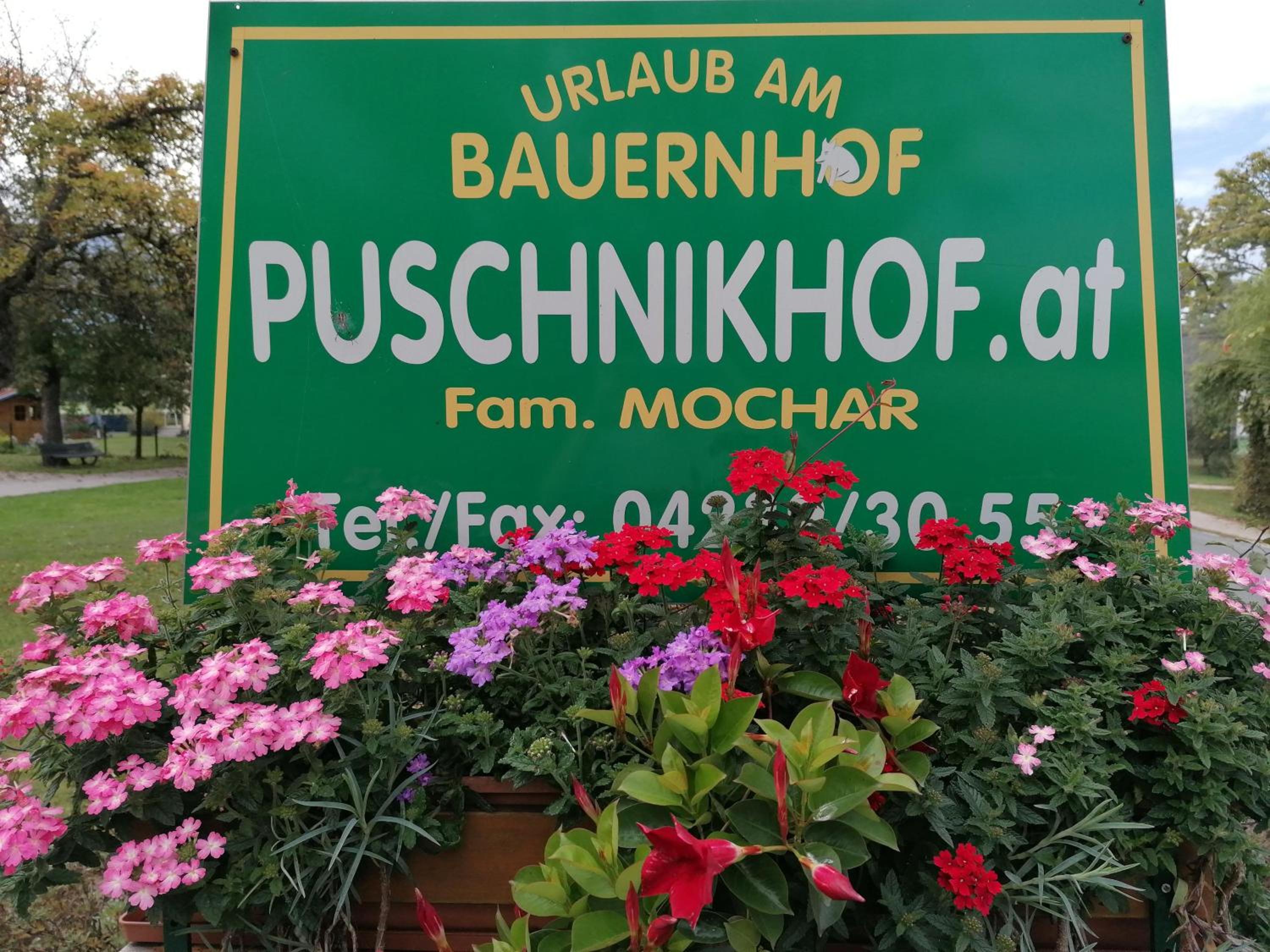 Bauernhof-Pension Puschnikhof