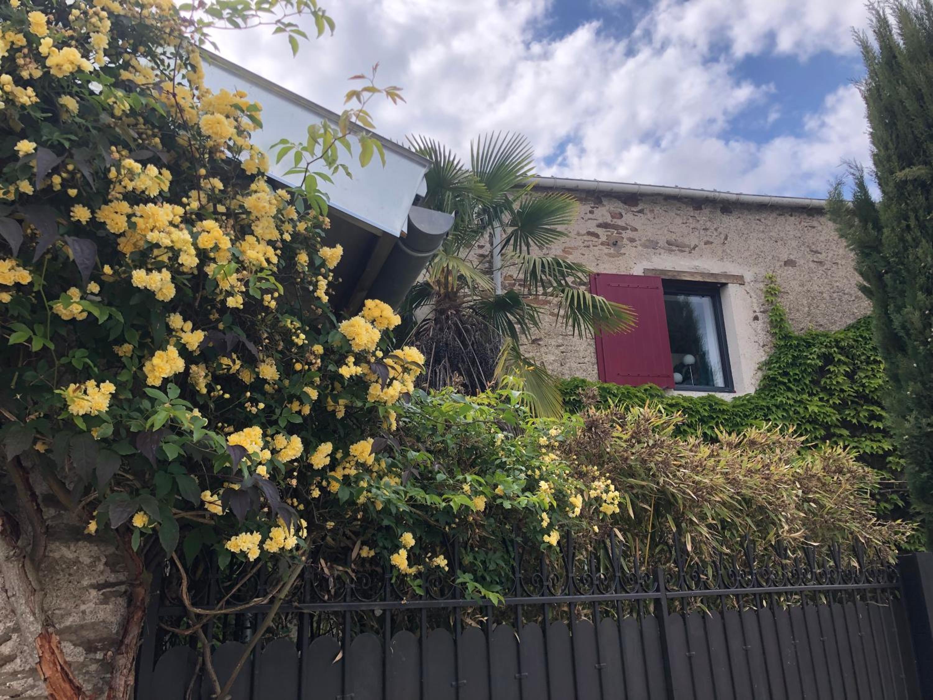Le Cottage, photo 6