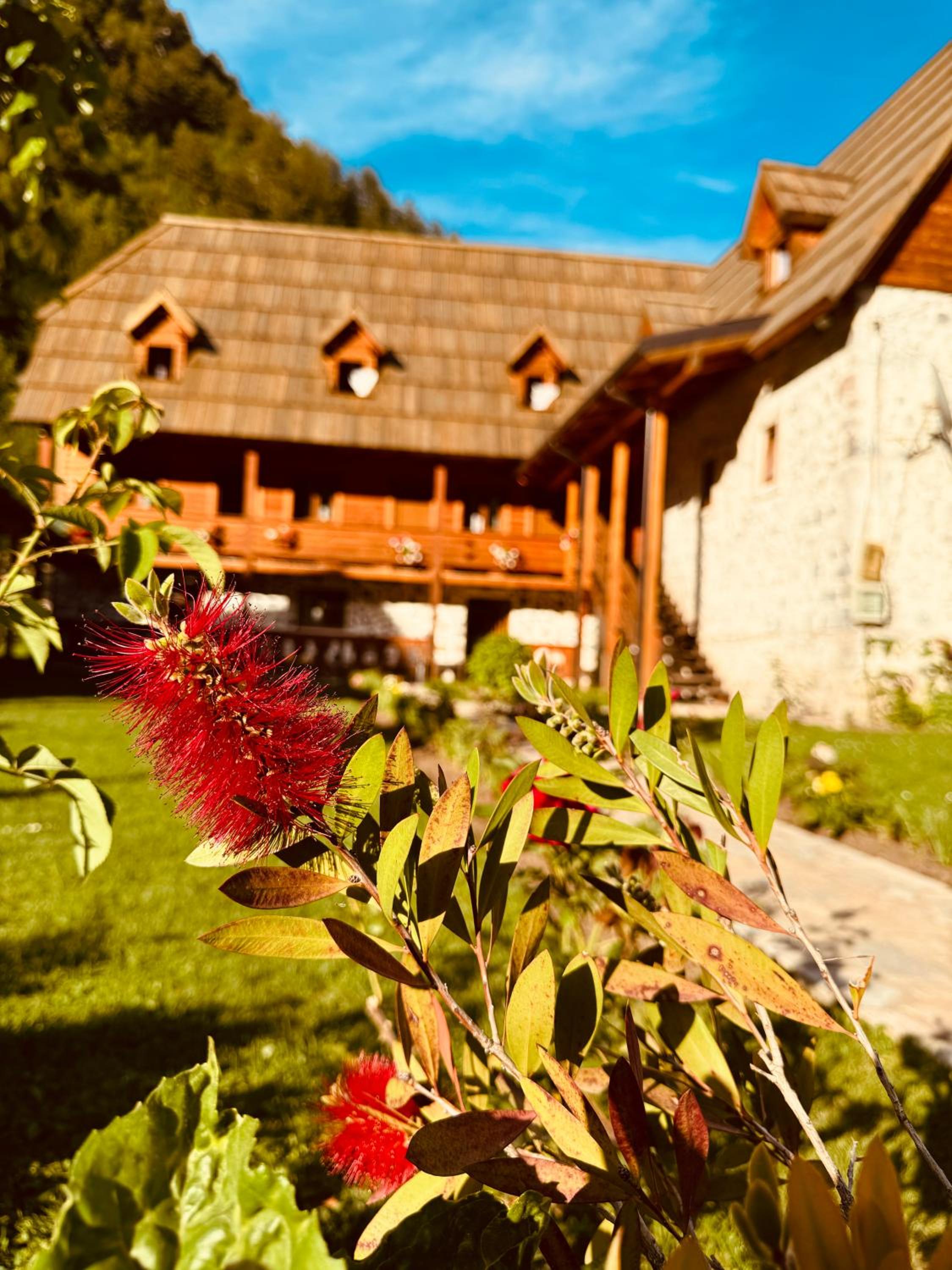 Guesthouse Prrockaj Theth