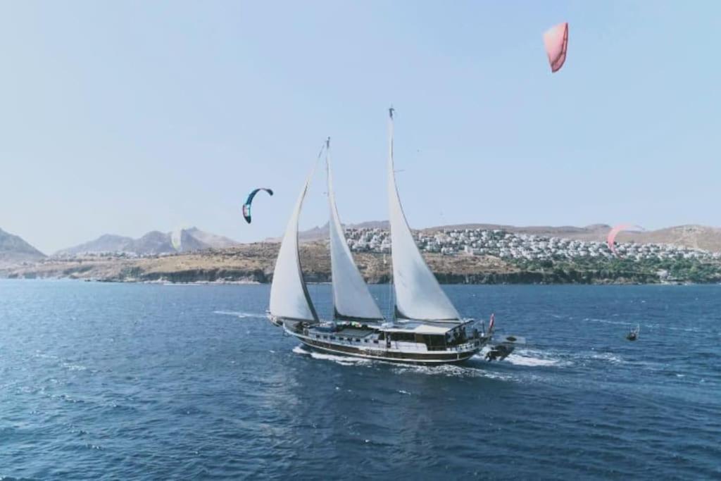 Your accommodation in Kotor bays view 4