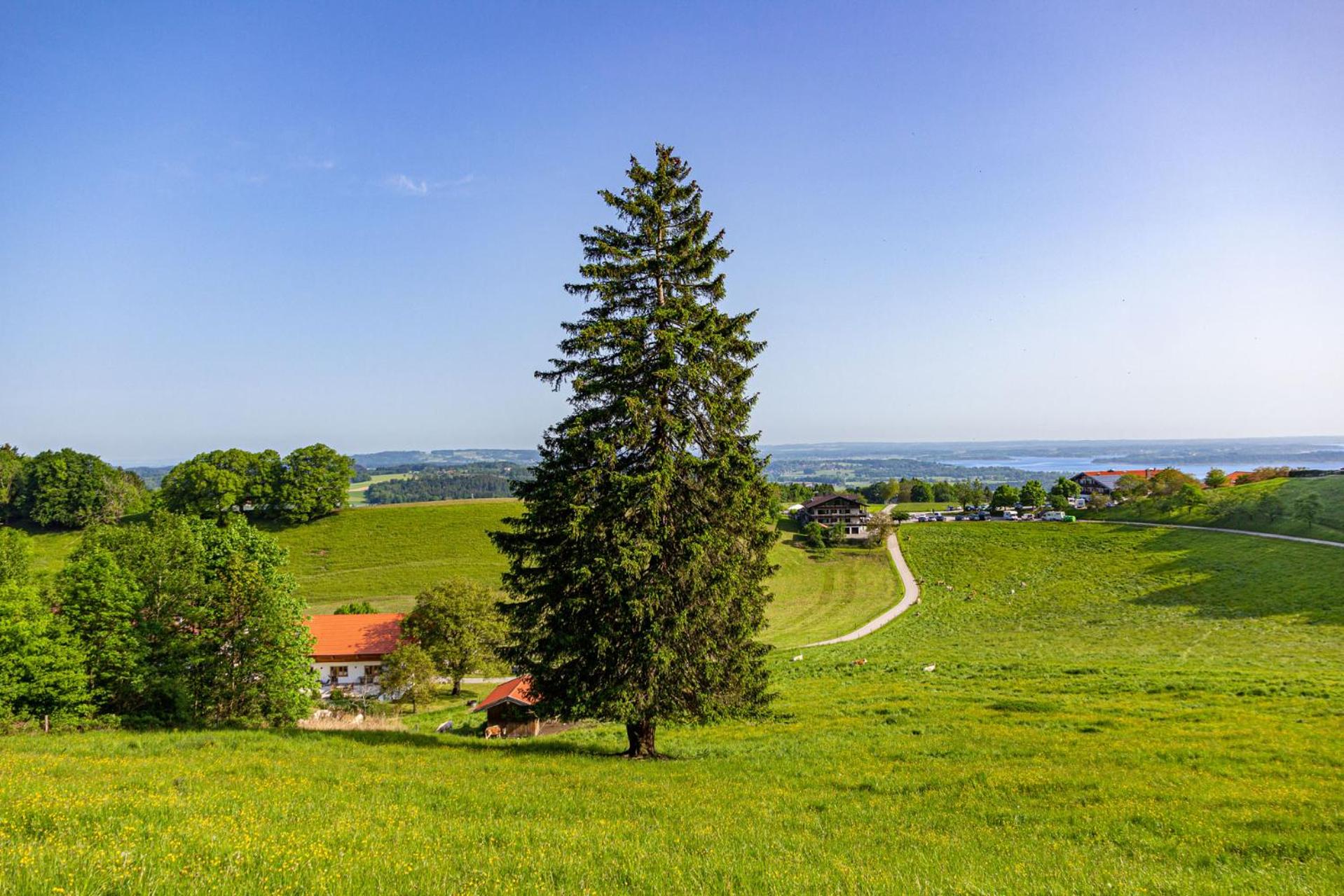 Wieserhof