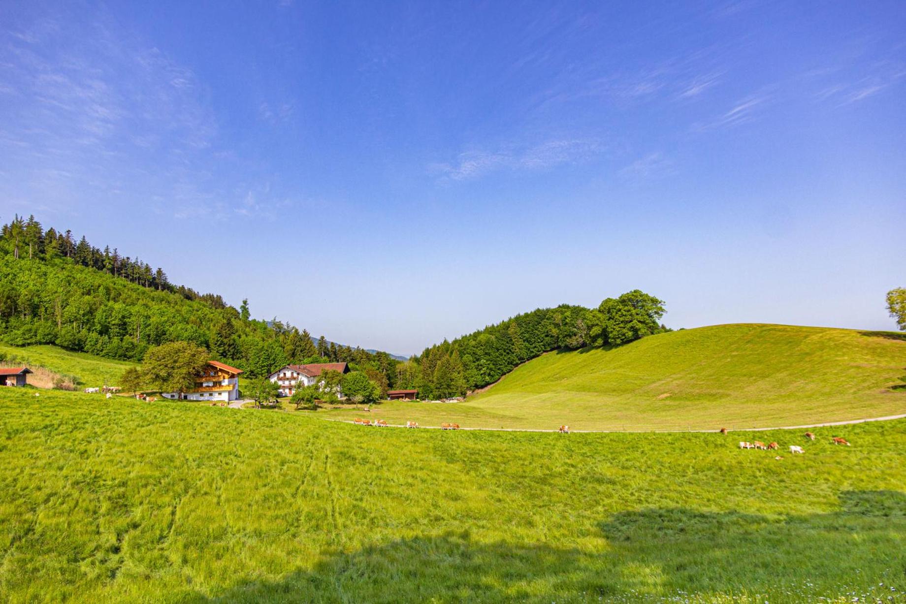 Wieserhof