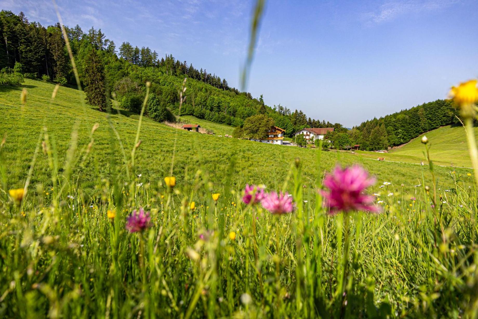 Wieserhof