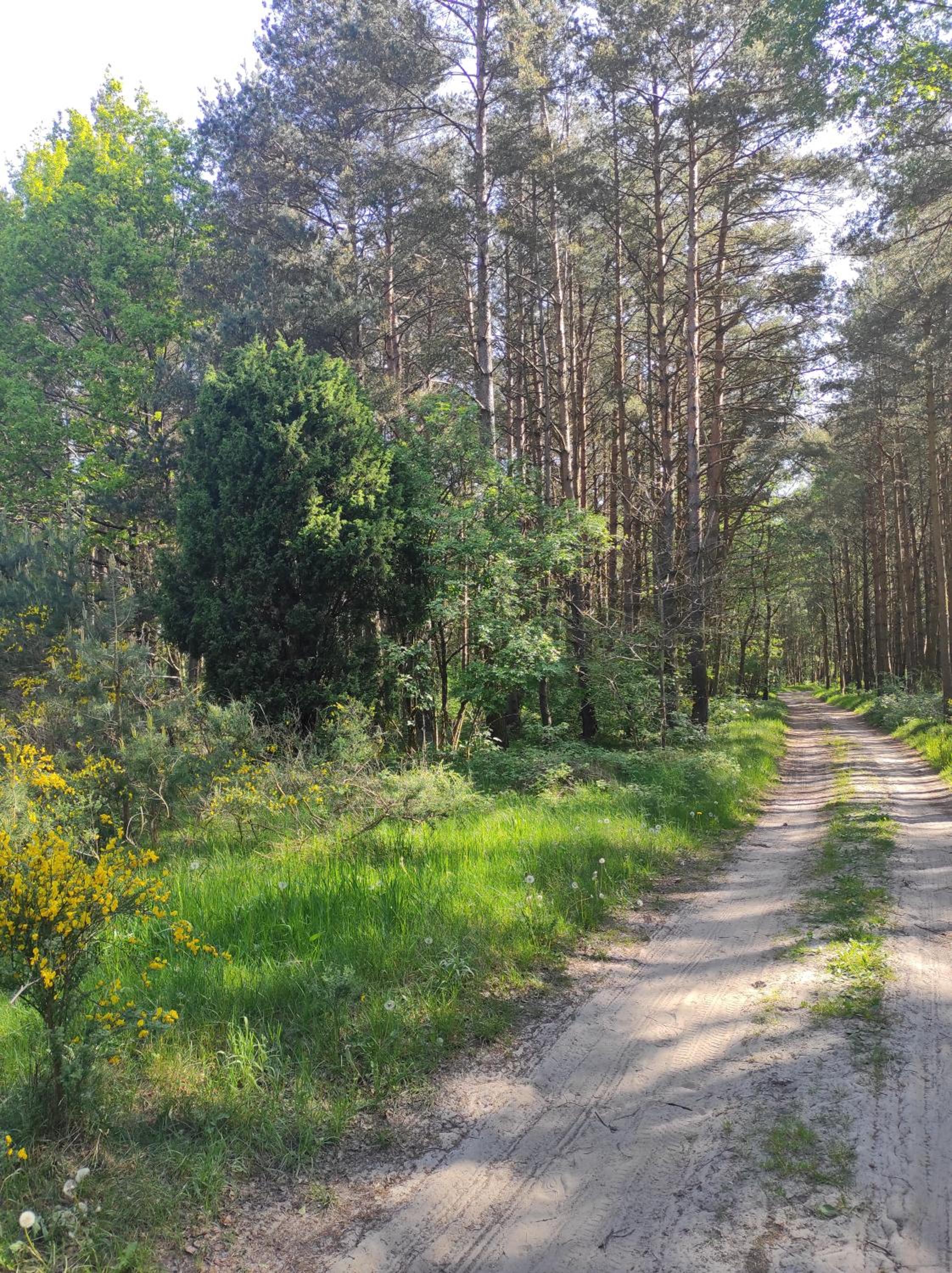 Domki na Jastrzębiej