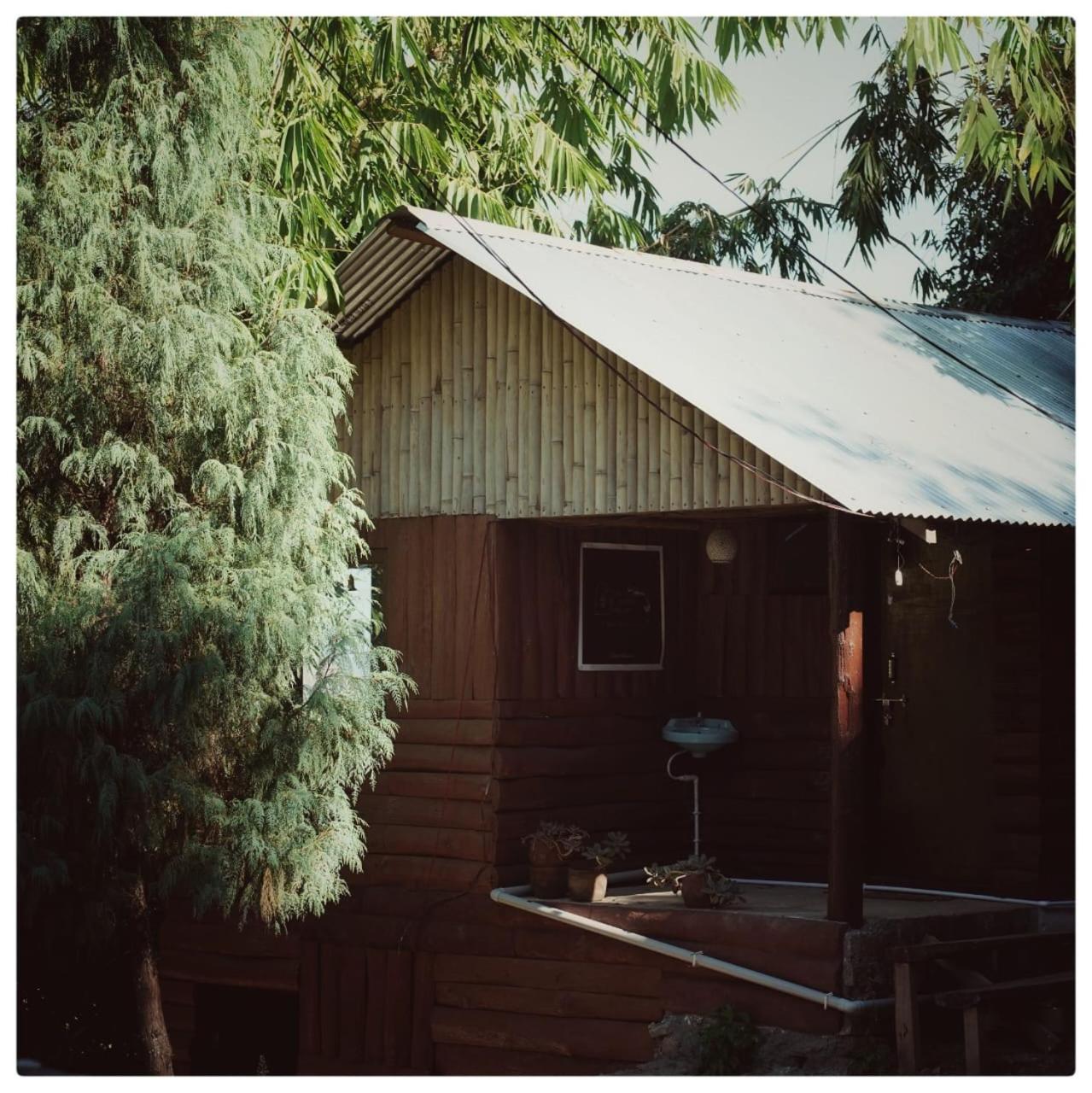 Photo 21