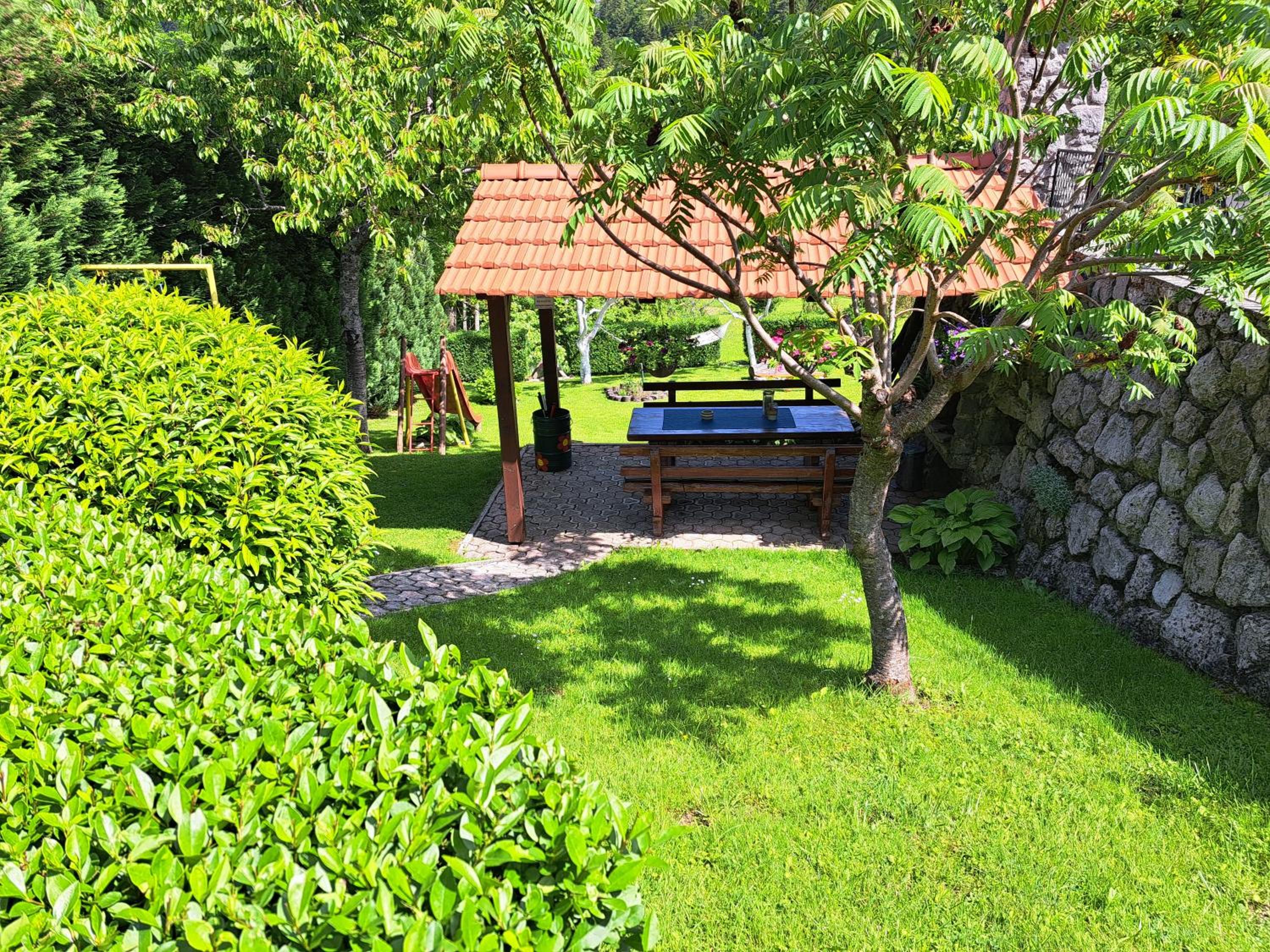 Photo 11