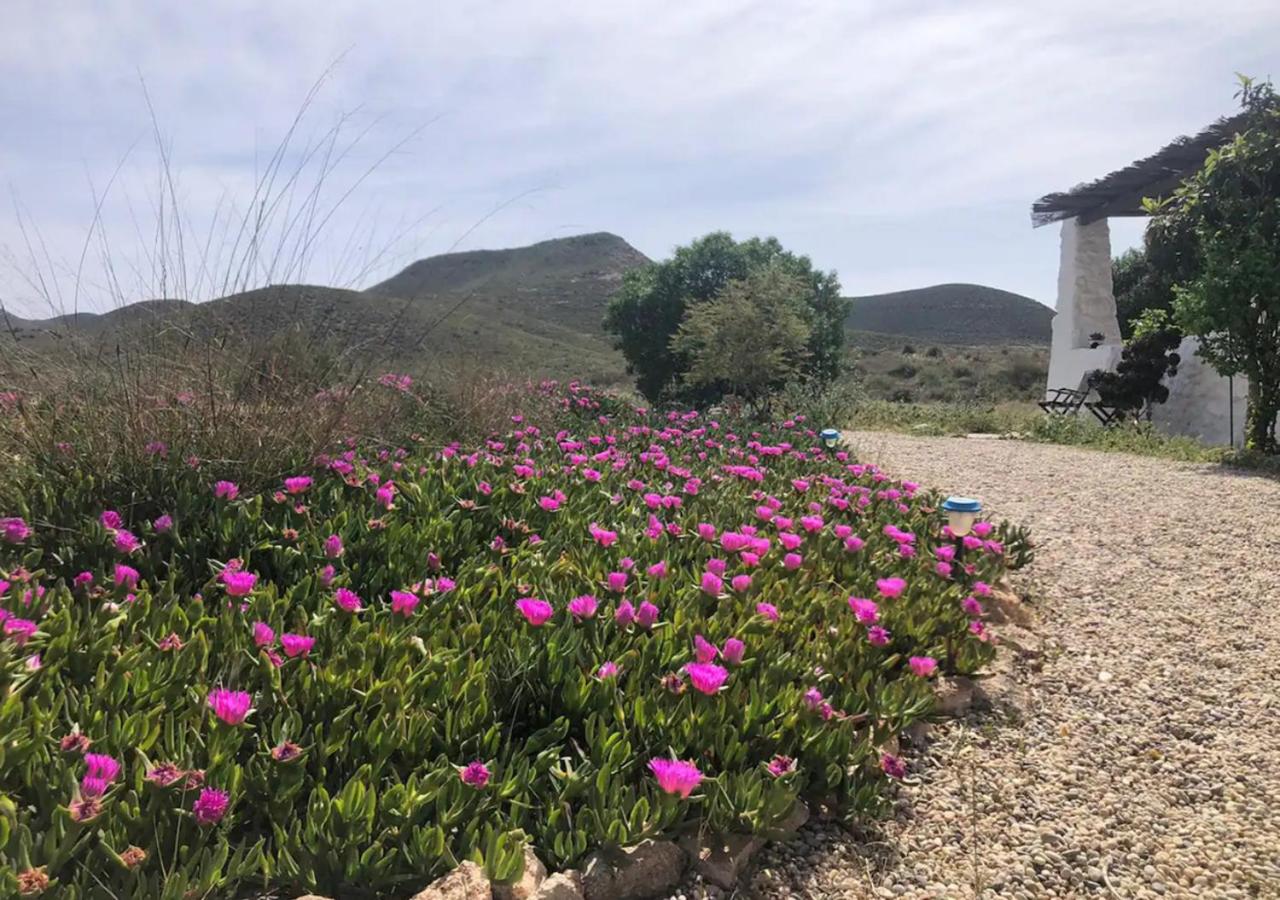 Estudio en cortijo en Fernán Pérez
