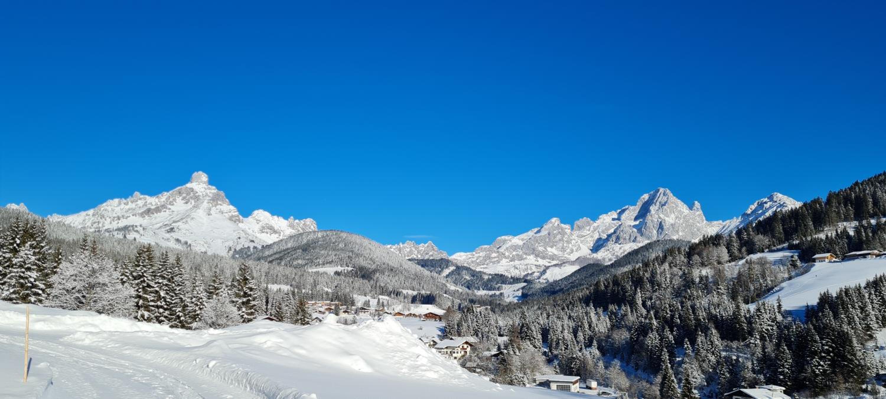 Mittersteghof,