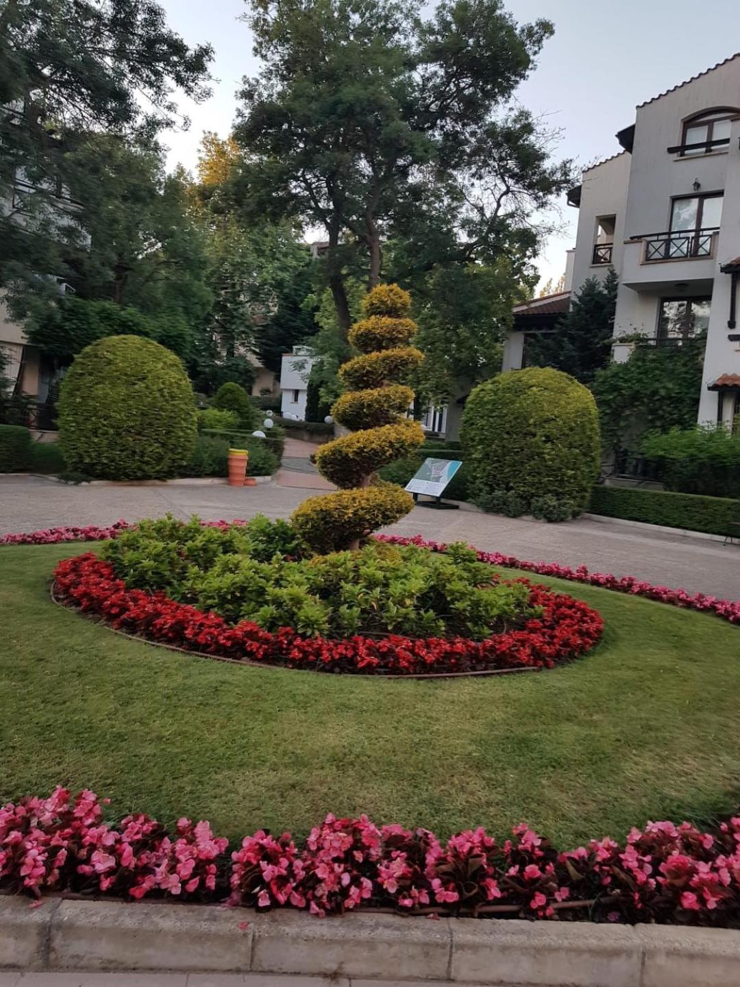 Bogdanov