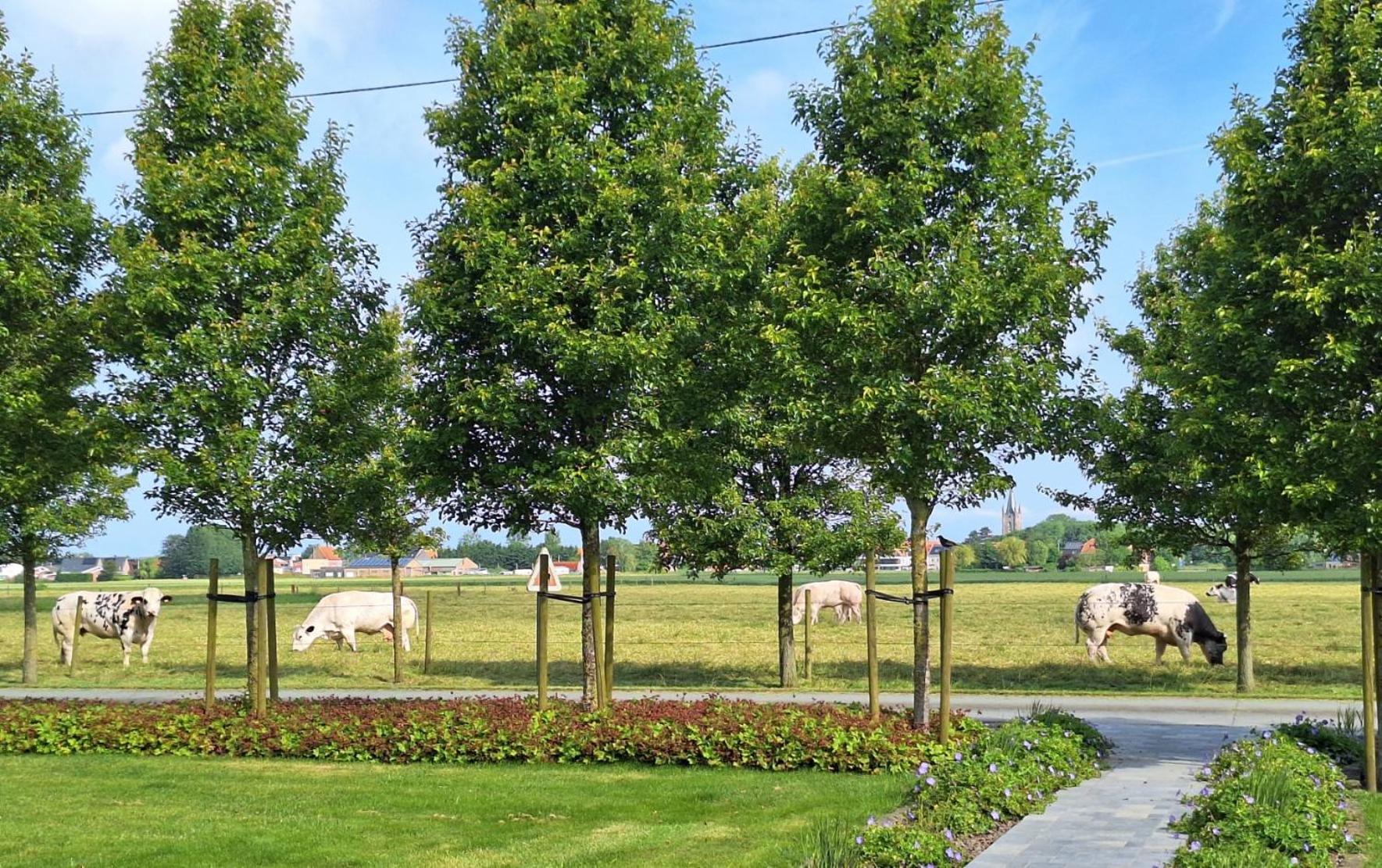 Vacation Home Mechelhof
