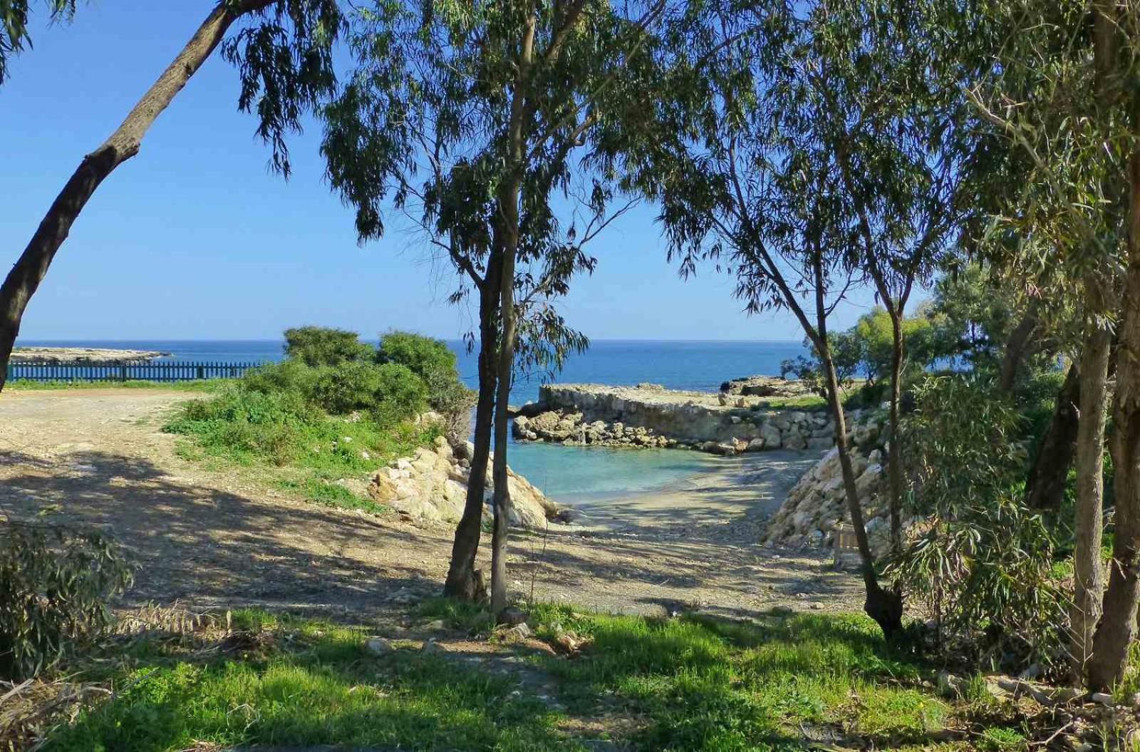 Calypso - Coralli Beachfront Apartment