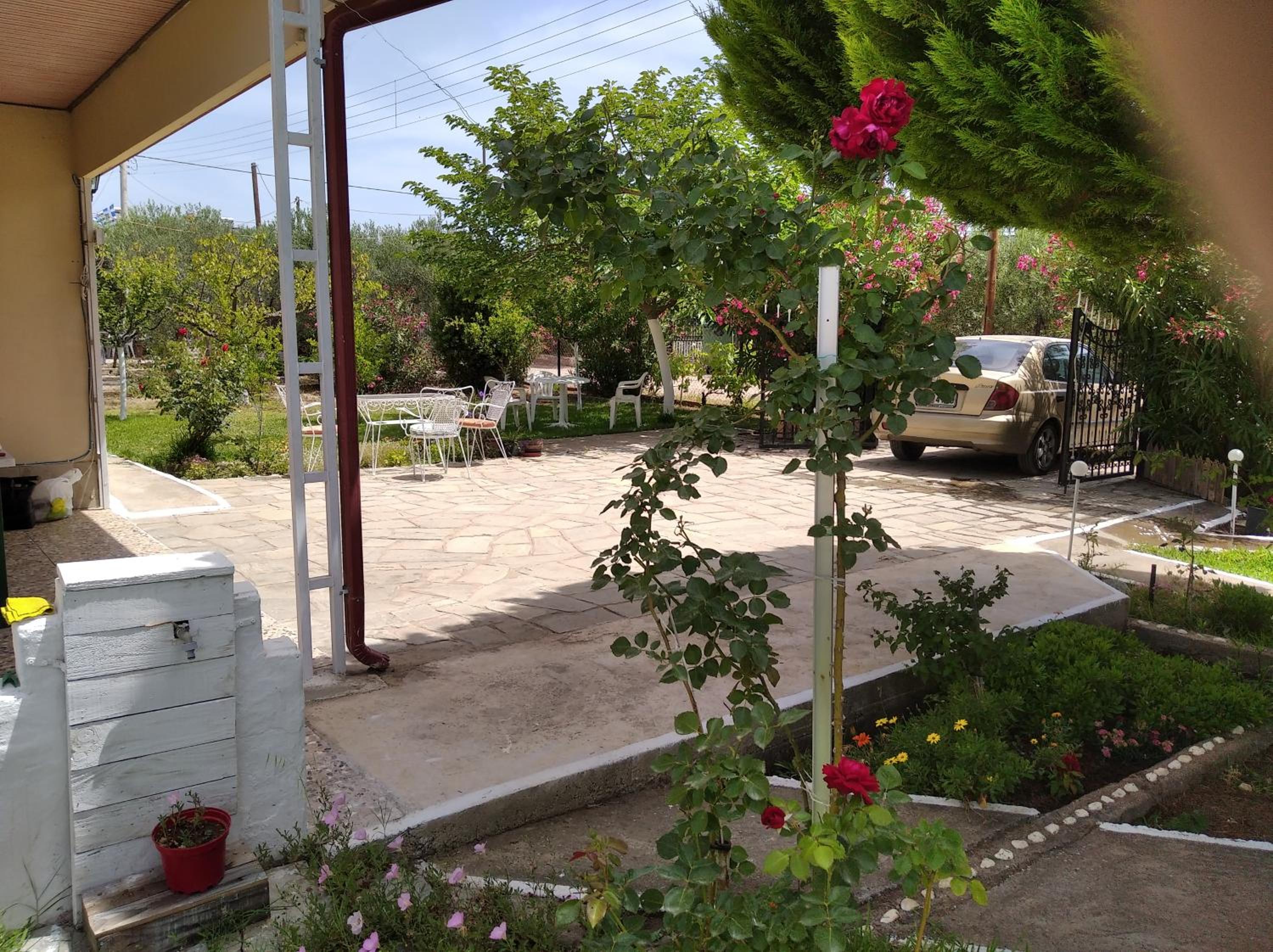 Photo 13