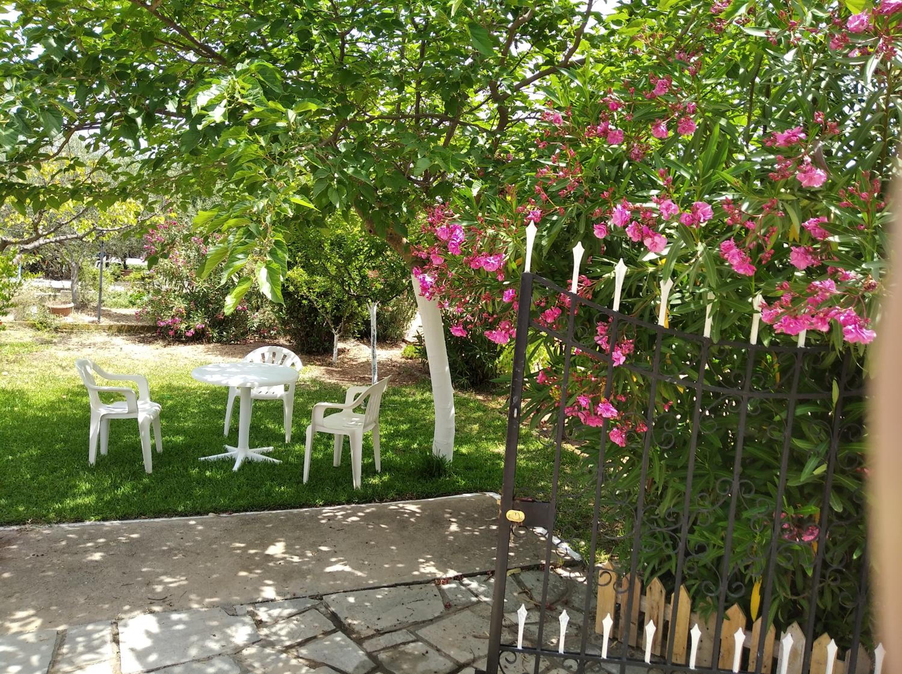 Photo 15
