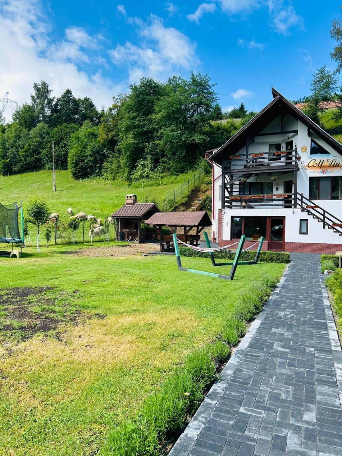 Colț Viu Cabana view 5