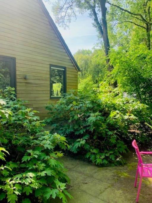 Vakantiewoning De Stevert view 3