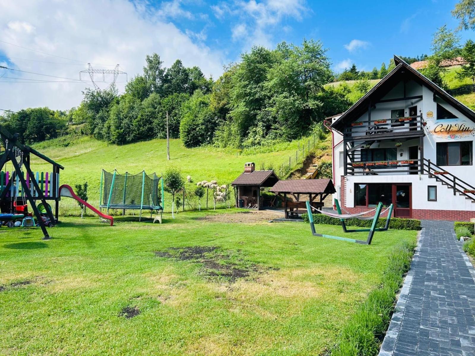 Colț Viu Cabana view 3