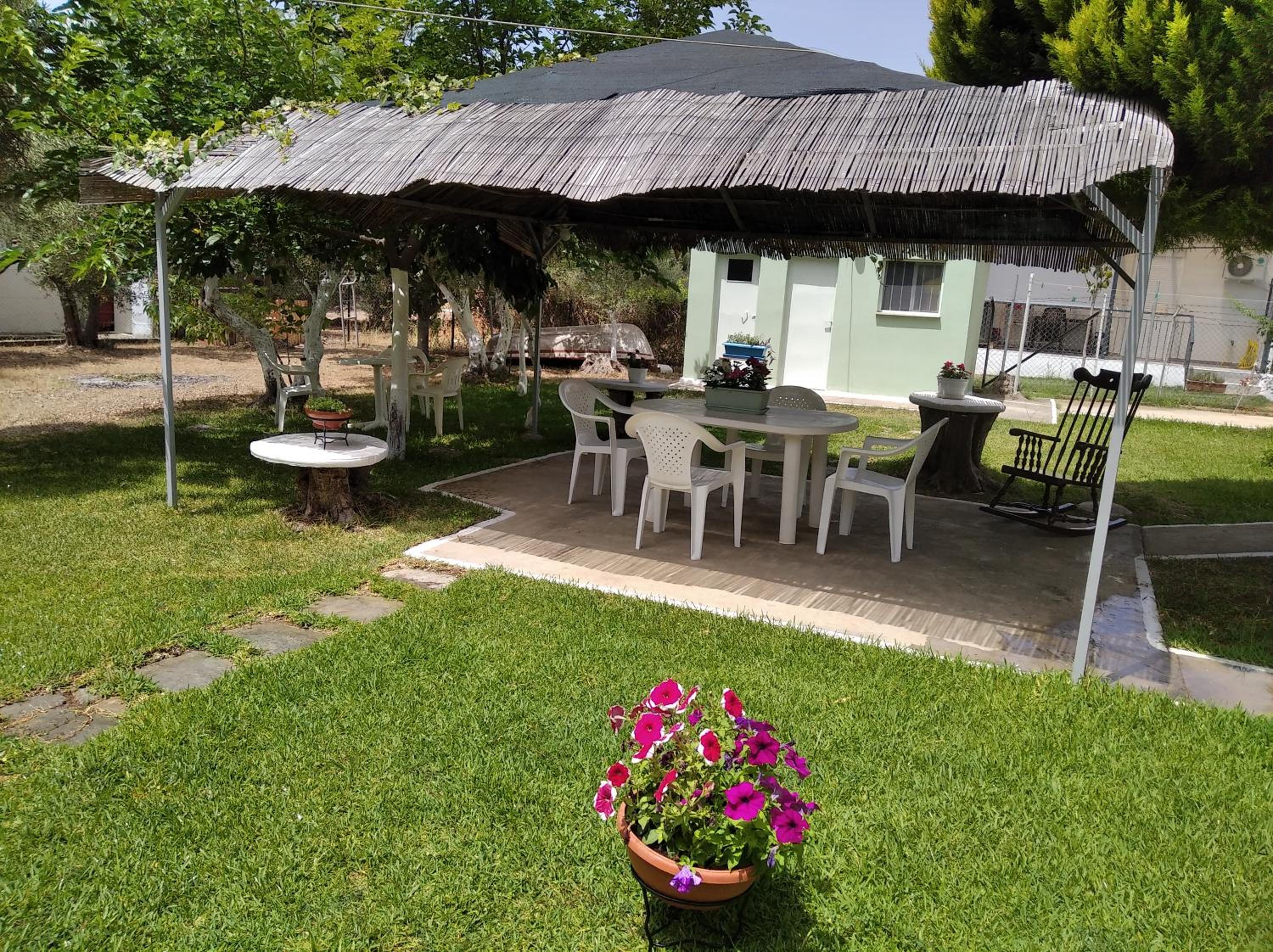 Photo 17