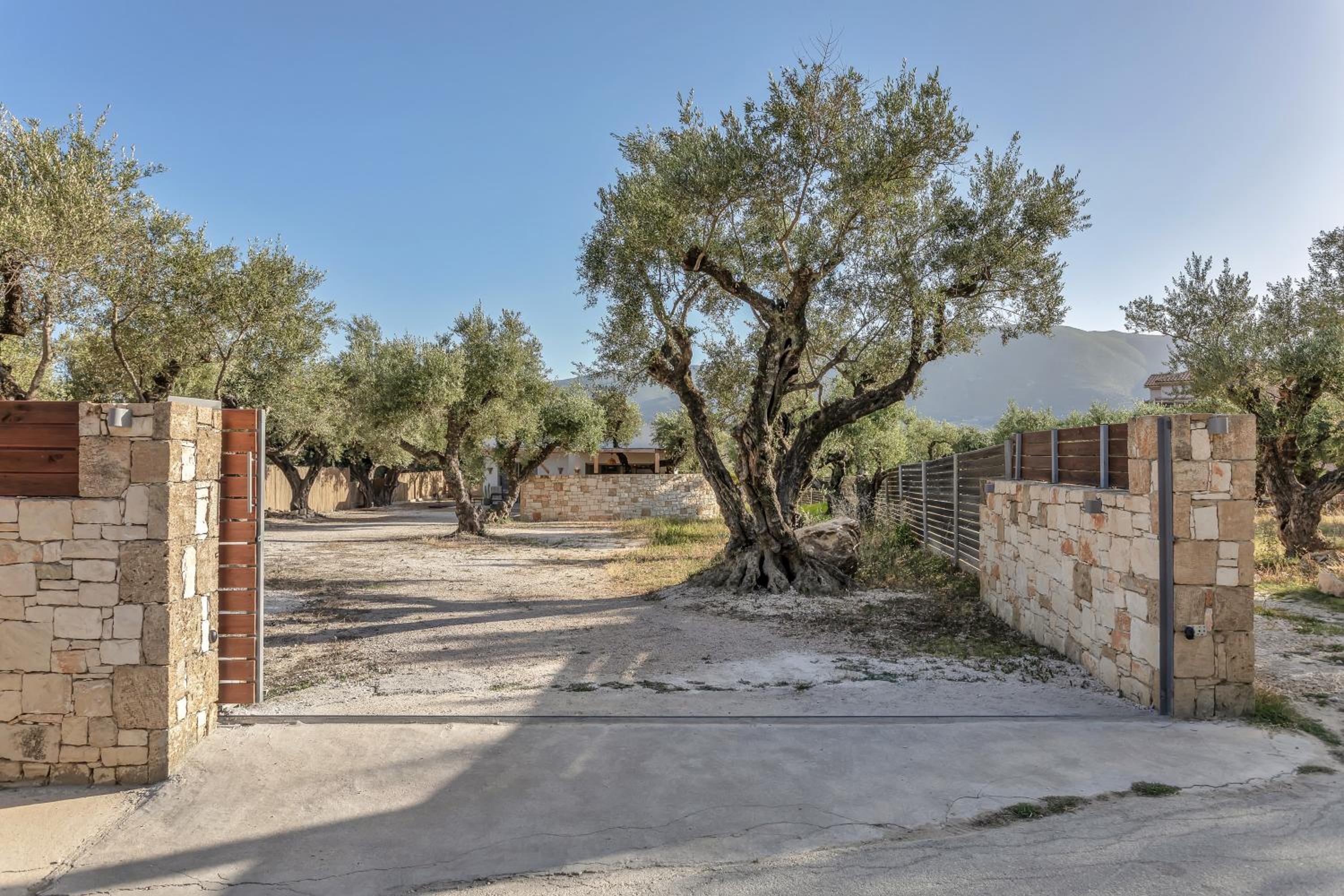 Natura Oliva House