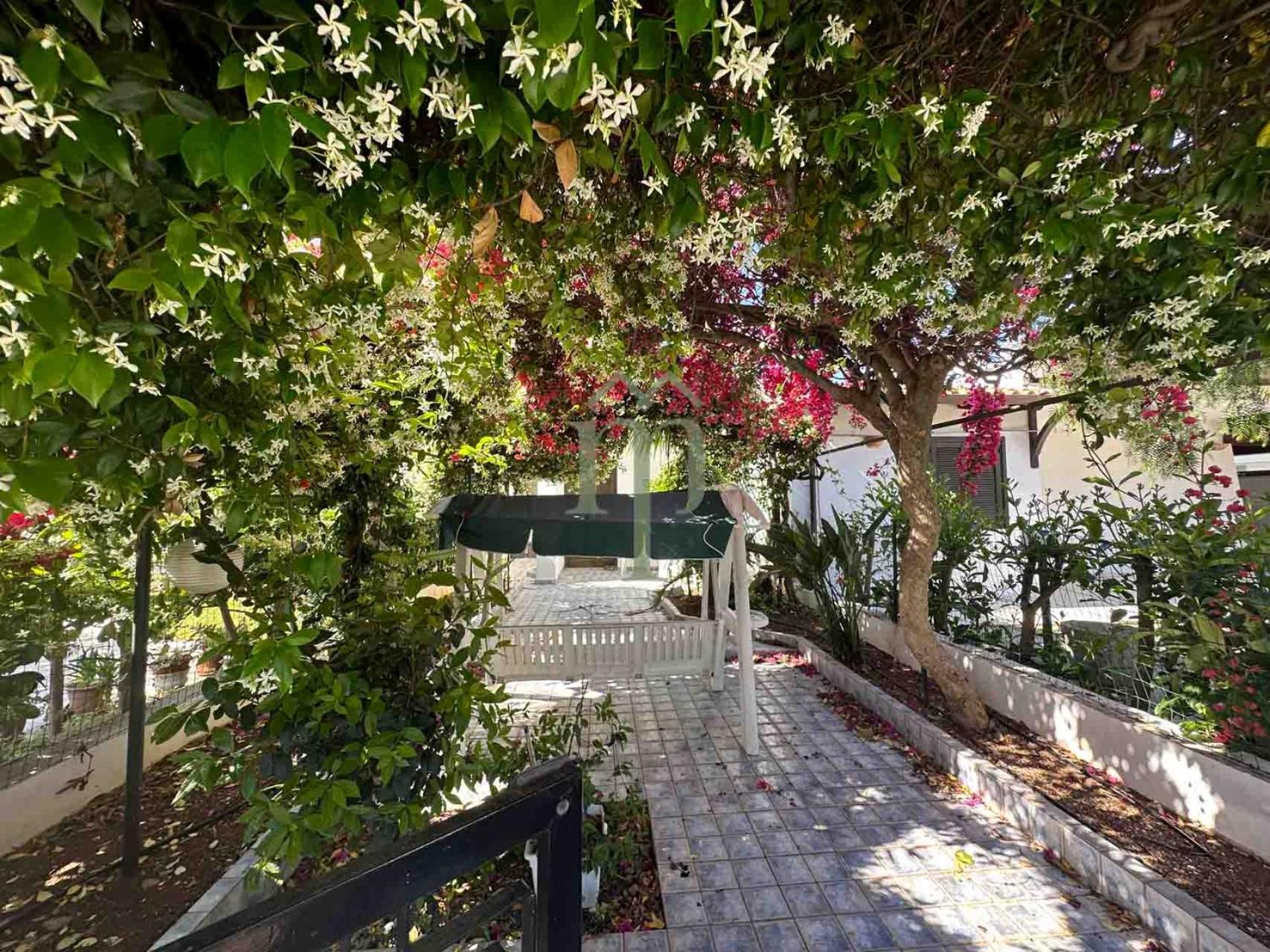 Villa Riva photo 2
